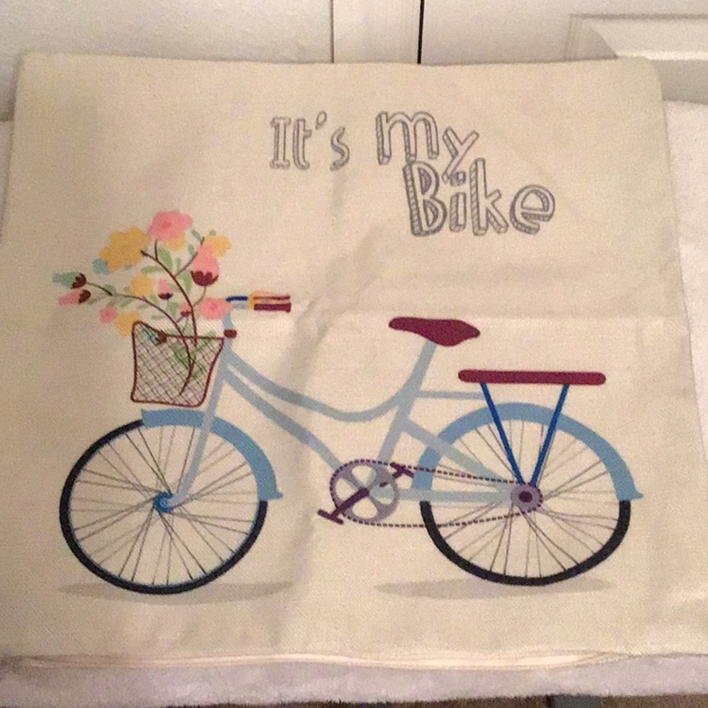 Pillows Case (2)